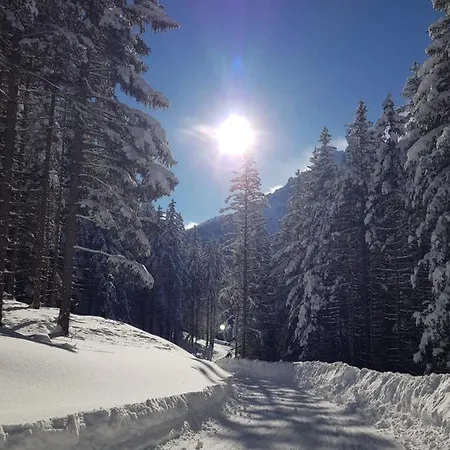 فيرينهاوس بانوراما *