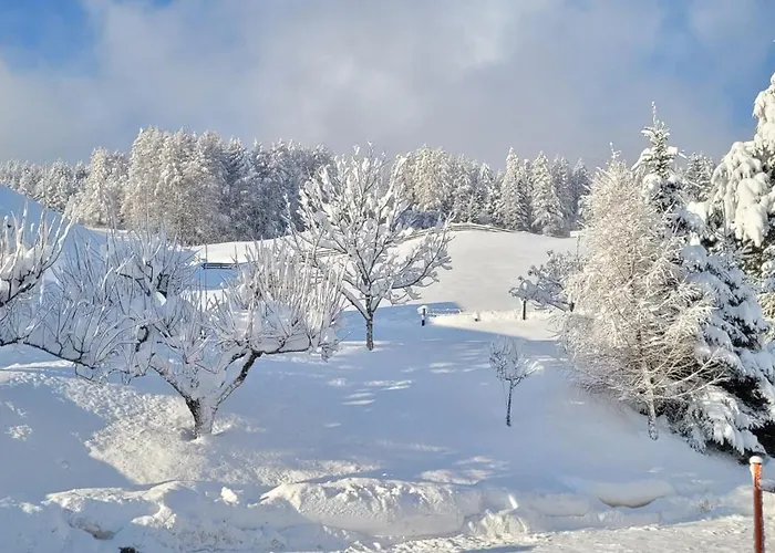 Panorama Appartement Mutters